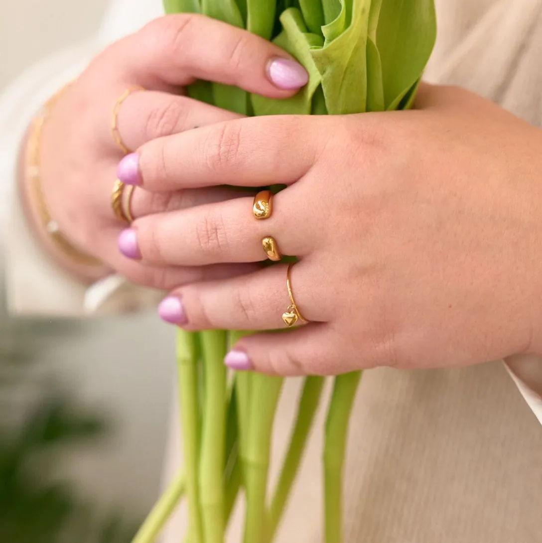 Amore Heart Charm Ring