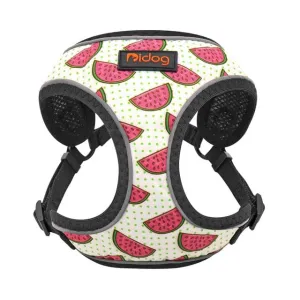 Graphic Breathable Dog Harness